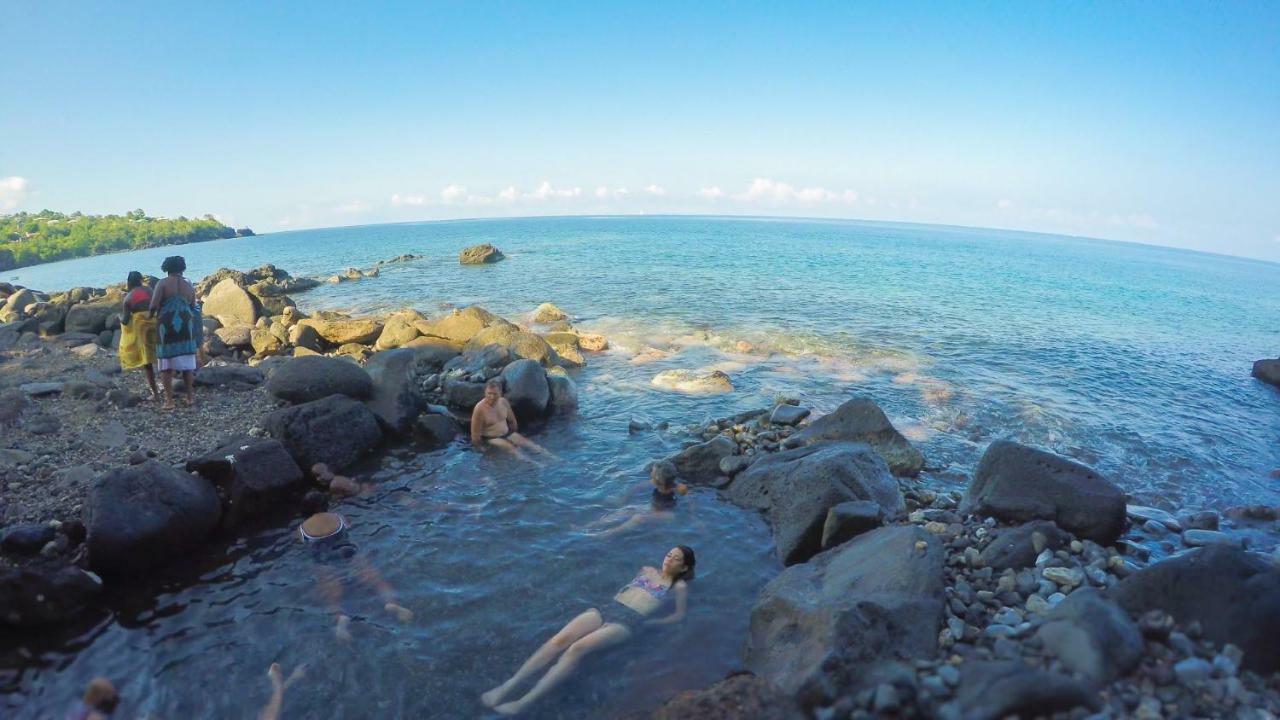 Bungalow Les Cerisiers Буйянт Екстериор снимка